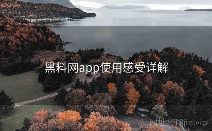 黑料网app使用感受详解
