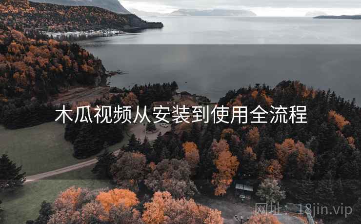 木瓜视频从安装到使用全流程