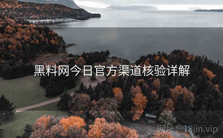 黑料网今日官方渠道核验详解
