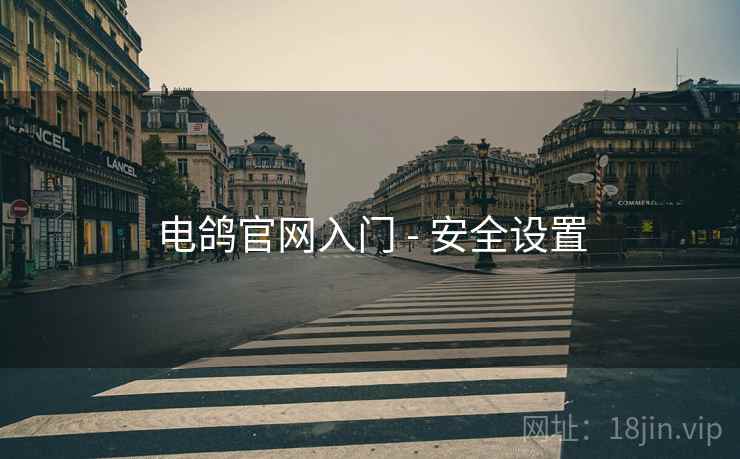 电鸽官网入门 - 安全设置