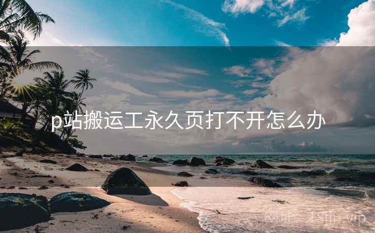p站搬运工永久页打不开怎么办