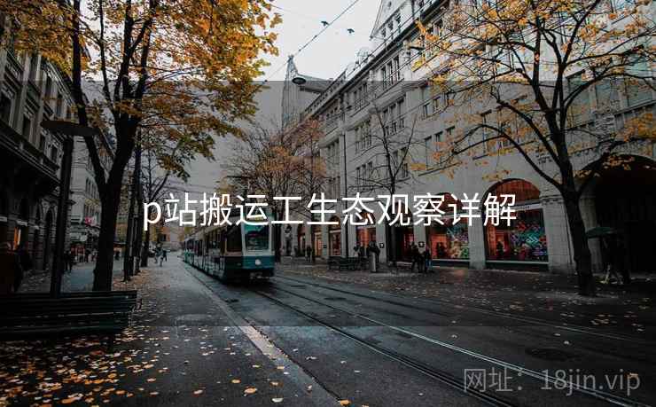 p站搬运工生态观察详解