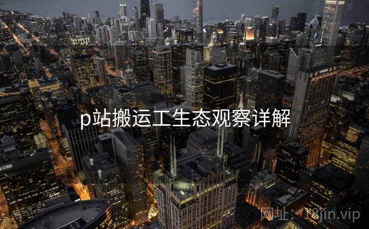 p站搬运工生态观察详解
