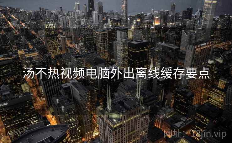 汤不热视频电脑外出离线缓存要点