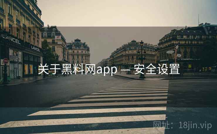 关于黑料网app — 安全设置