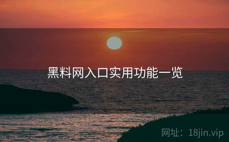 黑料网入口实用功能一览