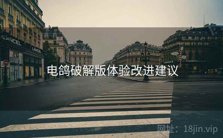 电鸽破解版体验改进建议