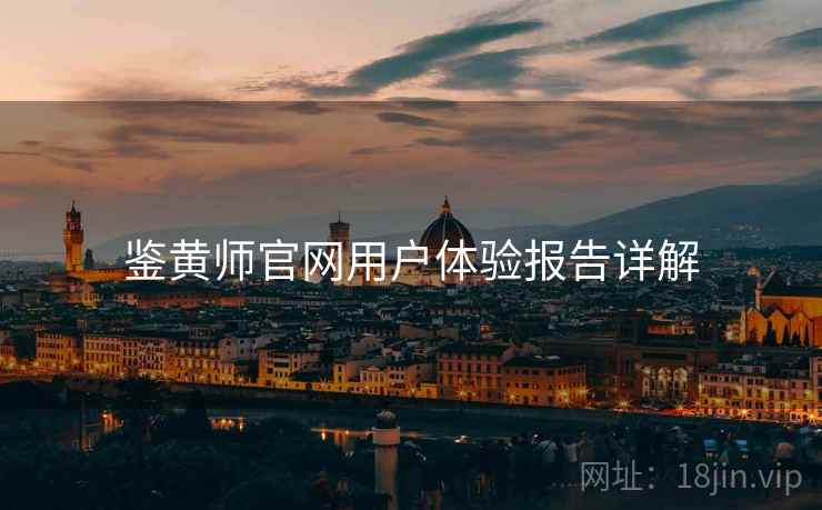 鉴黄师官网用户体验报告详解