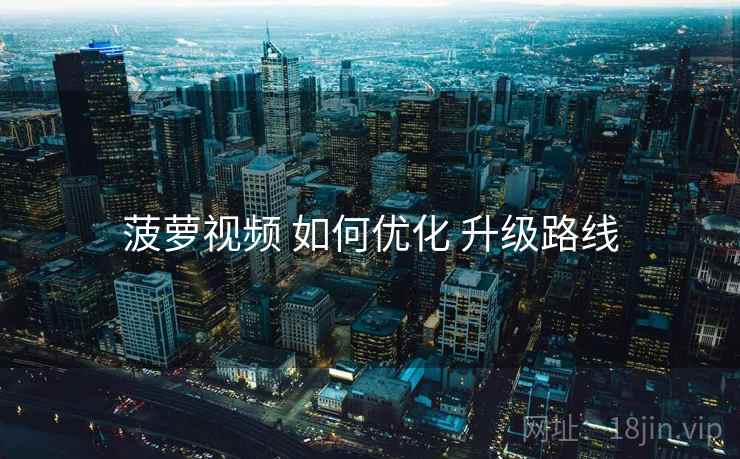 菠萝视频 如何优化 升级路线