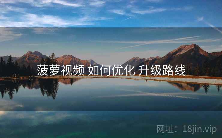 菠萝视频 如何优化 升级路线