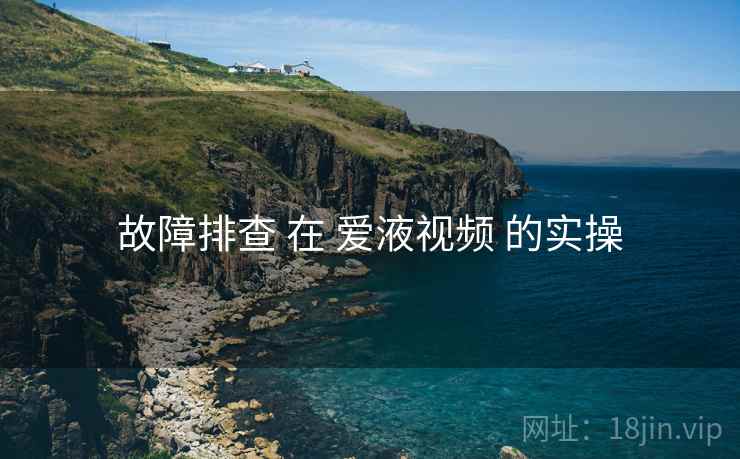 故障排查 在 爱液视频 的实操