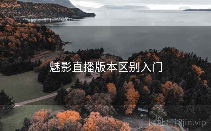 魅影直播版本区别入门