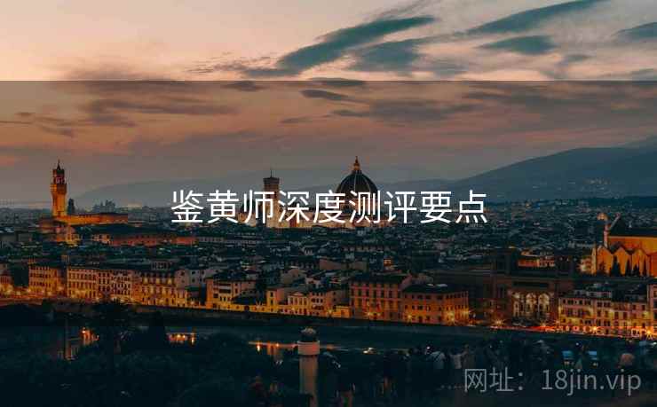 鉴黄师深度测评要点