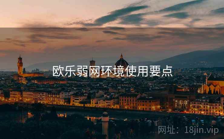 欧乐弱网环境使用要点