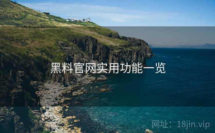 黑料官网实用功能一览